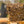 Wabenhonig mit Bienen